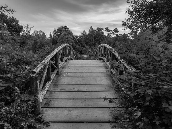 Market Entry & Partnerships